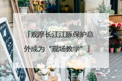 观摩长江江豚保护意外成为“现场教学”