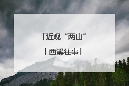 近观“两山”丨西溪往事
