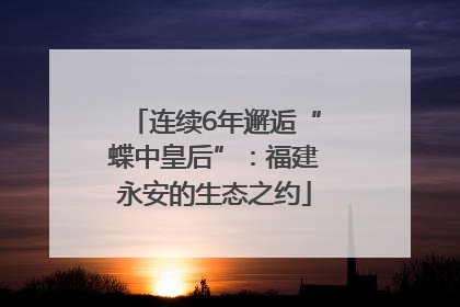 连续6年邂逅“蝶中皇后”：福建永安的生态之约