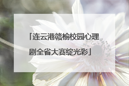 连云港赣榆校园心理剧全省大赛绽光彩