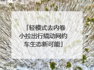轻模式去内卷 小拉出行撬动网约车生态新可能
