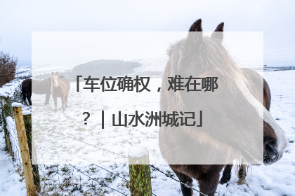 车位确权，难在哪？｜山水洲城记
