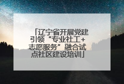 辽宁省开展党建引领“专业社工+志愿服务”融合试点社区建设培训