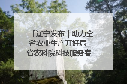 辽宁发布｜助力全省农业生产开好局 省农科院科技服务春耕备耕成效显著