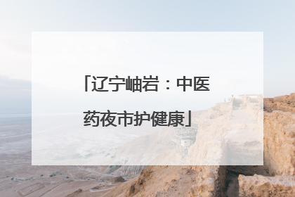 辽宁岫岩：中医药夜市护健康