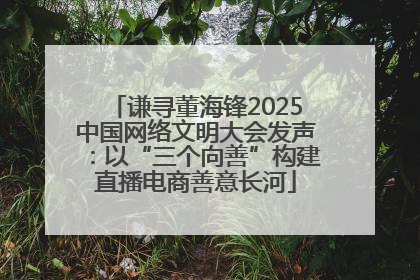 谦寻董海锋2025中国网络文明大会发声：以“三个向善”构建直播电商善意长河