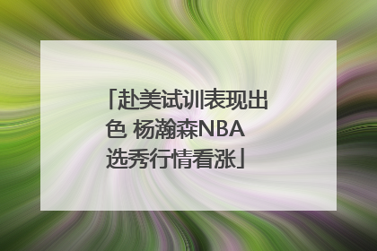 赴美试训表现出色 杨瀚森NBA选秀行情看涨