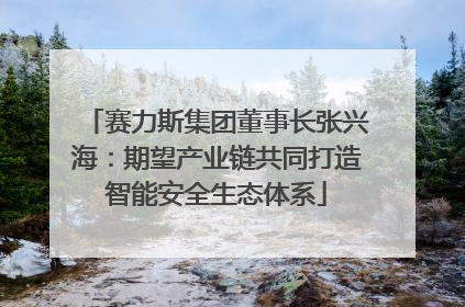 赛力斯集团董事长张兴海：期望产业链共同打造智能安全生态体系