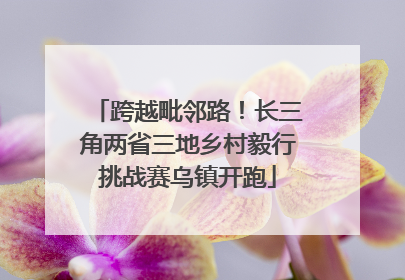 跨越毗邻路！长三角两省三地乡村毅行挑战赛乌镇开跑