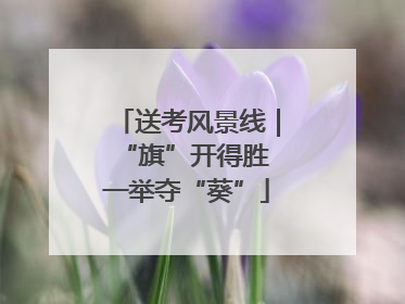 送考风景线｜“旗”开得胜 一举夺“葵”