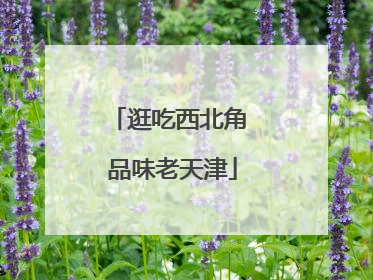 逛吃西北角 品味老天津