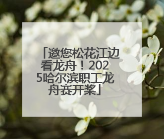 邀您松花江边看龙舟！2025哈尔滨职工龙舟赛开桨