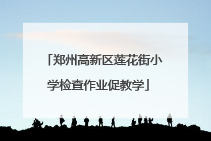 郑州高新区莲花街小学检查作业促教学