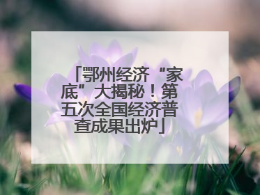 鄂州经济“家底”大揭秘！第五次全国经济普查成果出炉