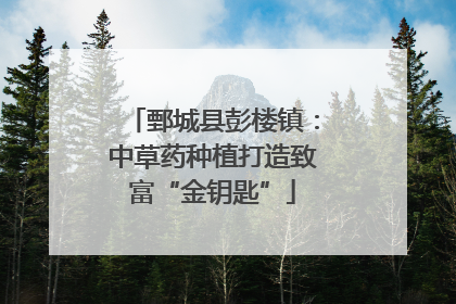 鄄城县彭楼镇：中草药种植打造致富“金钥匙”