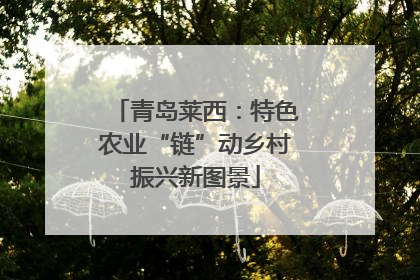 青岛莱西：特色农业“链”动乡村振兴新图景