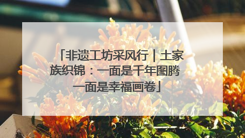 非遗工坊采风行｜土家族织锦：一面是千年图腾 一面是幸福画卷