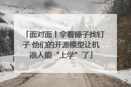 面对面丨拿着锤子找钉子 他们的开源模型让机器人能“上学”了