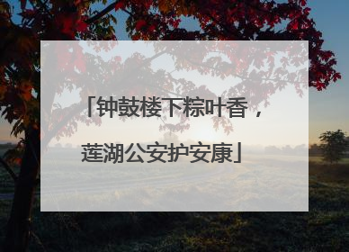 钟鼓楼下粽叶香，莲湖公安护安康