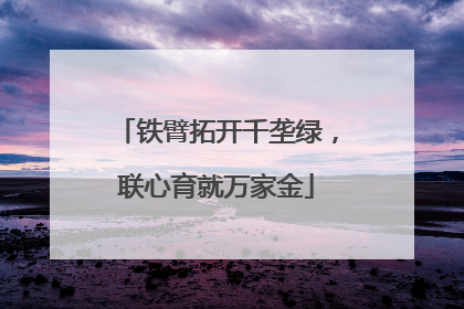 铁臂拓开千垄绿，联心育就万家金