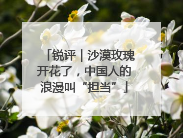 锐评｜沙漠玫瑰开花了，中国人的浪漫叫“担当”