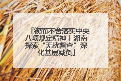 锲而不舍落实中央八项规定精神丨湖南探索“无扰督查”深化基层减负