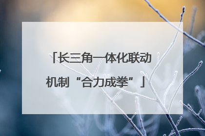 长三角一体化联动机制“合力成拳”