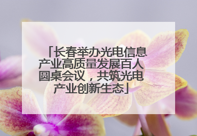 长春举办光电信息产业高质量发展百人圆桌会议，共筑光电产业创新生态