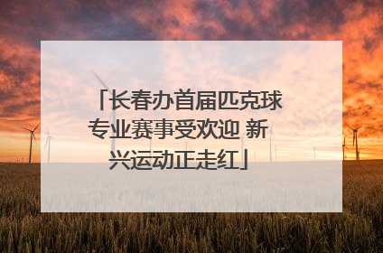 长春办首届匹克球专业赛事受欢迎 新兴运动正走红