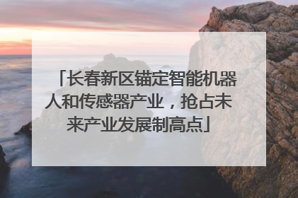 长春新区锚定智能机器人和传感器产业，抢占未来产业发展制高点