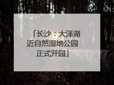 长沙：大泽湖近自然湿地公园正式开园