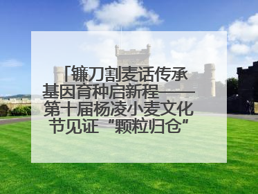 镰刀割麦话传承 基因育种启新程——第十届杨凌小麦文化节见证“颗粒归仓”时空跨越