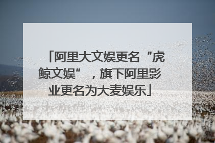 阿里大文娱更名“虎鲸文娱”，旗下阿里影业更名为大麦娱乐