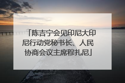 陈吉宁会见印尼大印尼行动党秘书长、人民协商会议主席穆扎尼