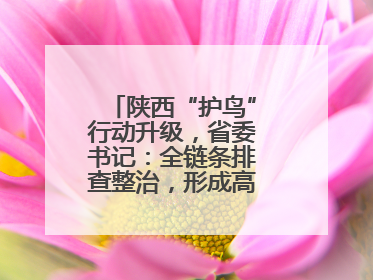 陕西“护鸟”行动升级，省委书记：全链条排查整治，形成高压震慑态势
