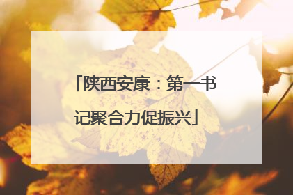 陕西安康：第一书记聚合力促振兴