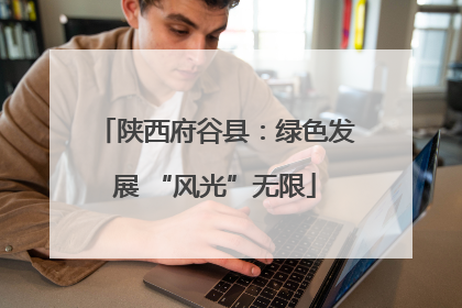 陕西府谷县：绿色发展 “风光”无限
