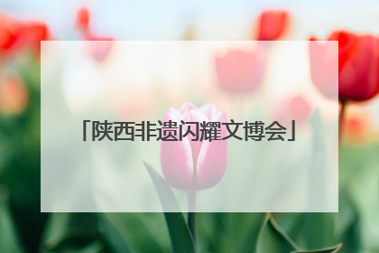 陕西非遗闪耀文博会