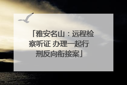 雅安名山：远程检察听证 办理一起行刑反向衔接案