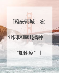 雅安雨城：农业园区跑出播种“加速度”