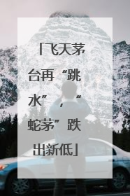 飞天茅台再“跳水”，“蛇茅”跌出新低