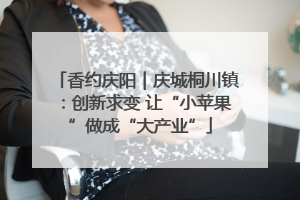 香约庆阳｜庆城桐川镇：创新求变 让“小苹果”做成“大产业”