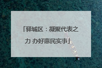 驿城区：凝聚代表之力 办好惠民实事