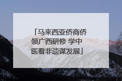 马来西亚侨商侨领广西研修 学中医看非遗谋发展