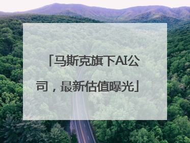 马斯克旗下AI公司，最新估值曝光