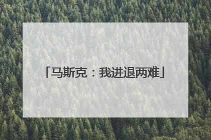 马斯克：我进退两难