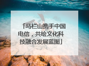 马栏山携手中国电信，共绘文化科技融合发展蓝图