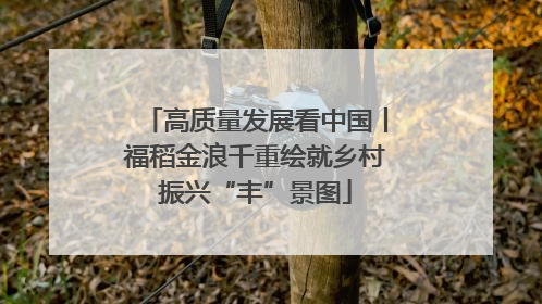 高质量发展看中国丨福稻金浪千重绘就乡村振兴“丰”景图