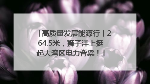 高质量发展能源行丨264.5米，狮子洋上挺起大湾区电力脊梁！