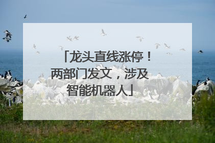 龙头直线涨停！两部门发文，涉及智能机器人